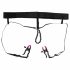 Bad Kitty - pince-sexe avec culotte - violet-noir (S-L)