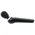 PalmPower Extreme - vibromasseur rechargeable (noir)