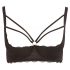 Cottelli Plus Size - Strappy, Ringed Push-Up Bra (Black)  - 90D