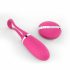 Dorcel Secret Delight - oplaadbare, draadloze vibratie-ei (roze)