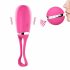 Dorcel Secret Delight - œuf vibrant sans fil rechargeable (rose)