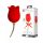 Amoureux de Rose - Vibromasseur Rechargeable 2en1 (rouge)