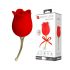 Amoureux de Rose - Vibromasseur Rechargeable 2en1 (rouge)