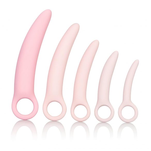 CalExotics Inspire - Ensemble de dilatateurs en silicone médical (rose)