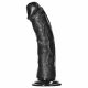 RealRock Curved - zakřivené realistické dildo s lepivými nožičkami - 15,5 cm (černé)