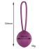 Engily Ross Leigh - boule de geisha en silicone (violet)