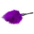 Easytoys Mini - Plume Véritable Chatouilleuse (violet)