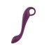 Aixiasia Lotty - Vibrateur point G rechargeable et étanche (violet)